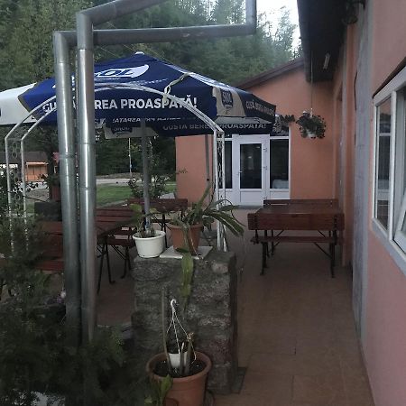 Vila Tanamera Hotel Moneasa Luaran gambar